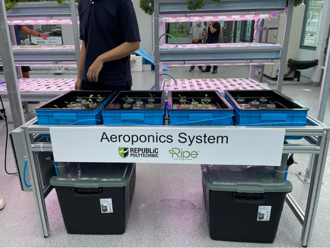 images/rp-aeroponic-system.png